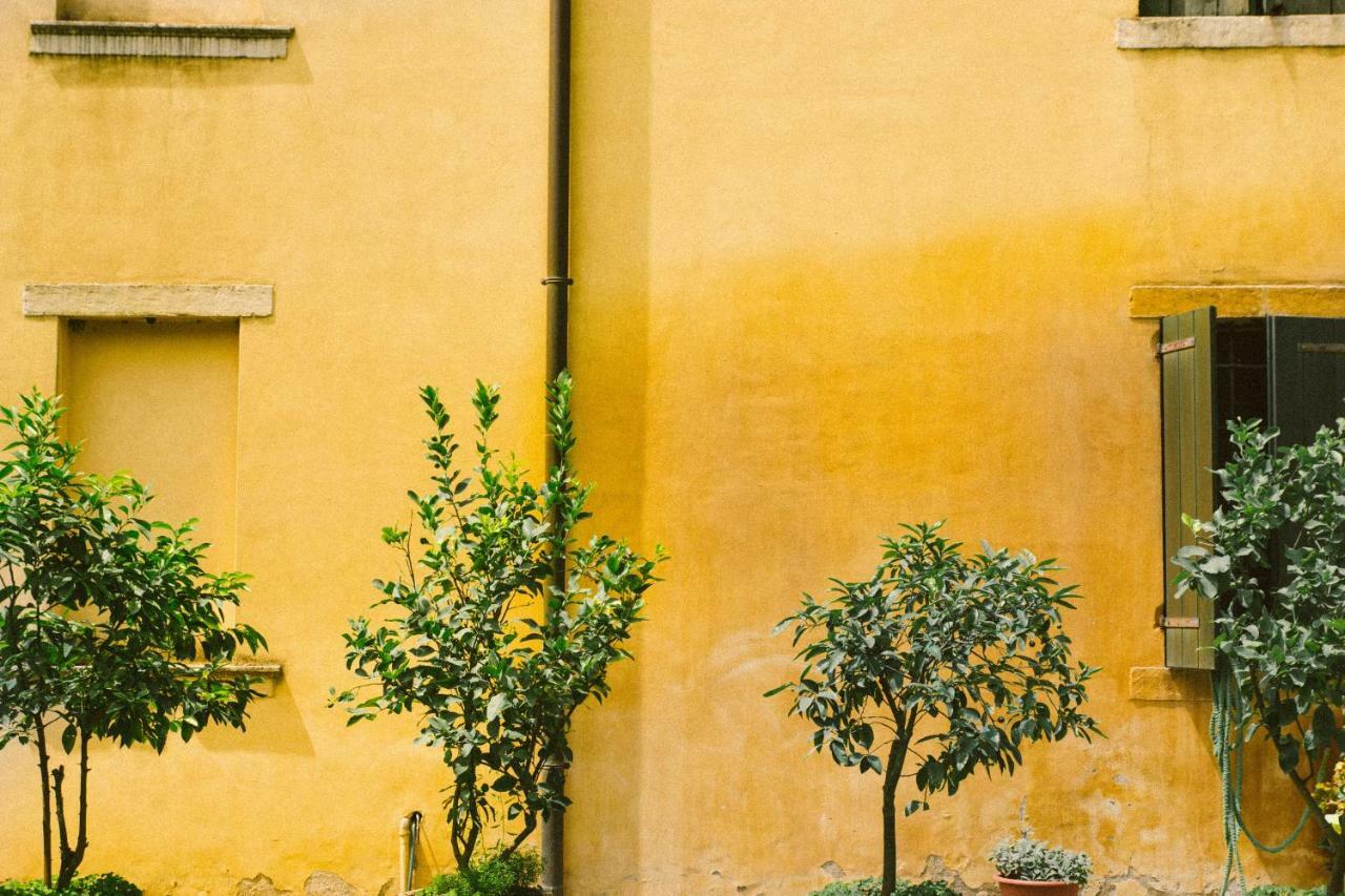 Villa Fava Montagnana  Exterior foto